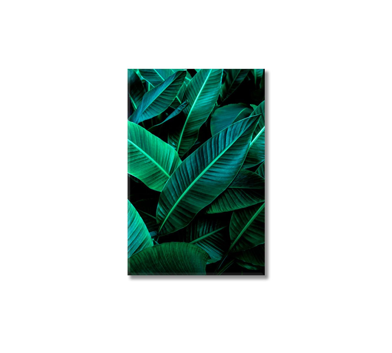 Tropical Banana Leaf Canvas Wall Art-Canvas Print-CetArt-1 panel-16x24 inches-CetArt