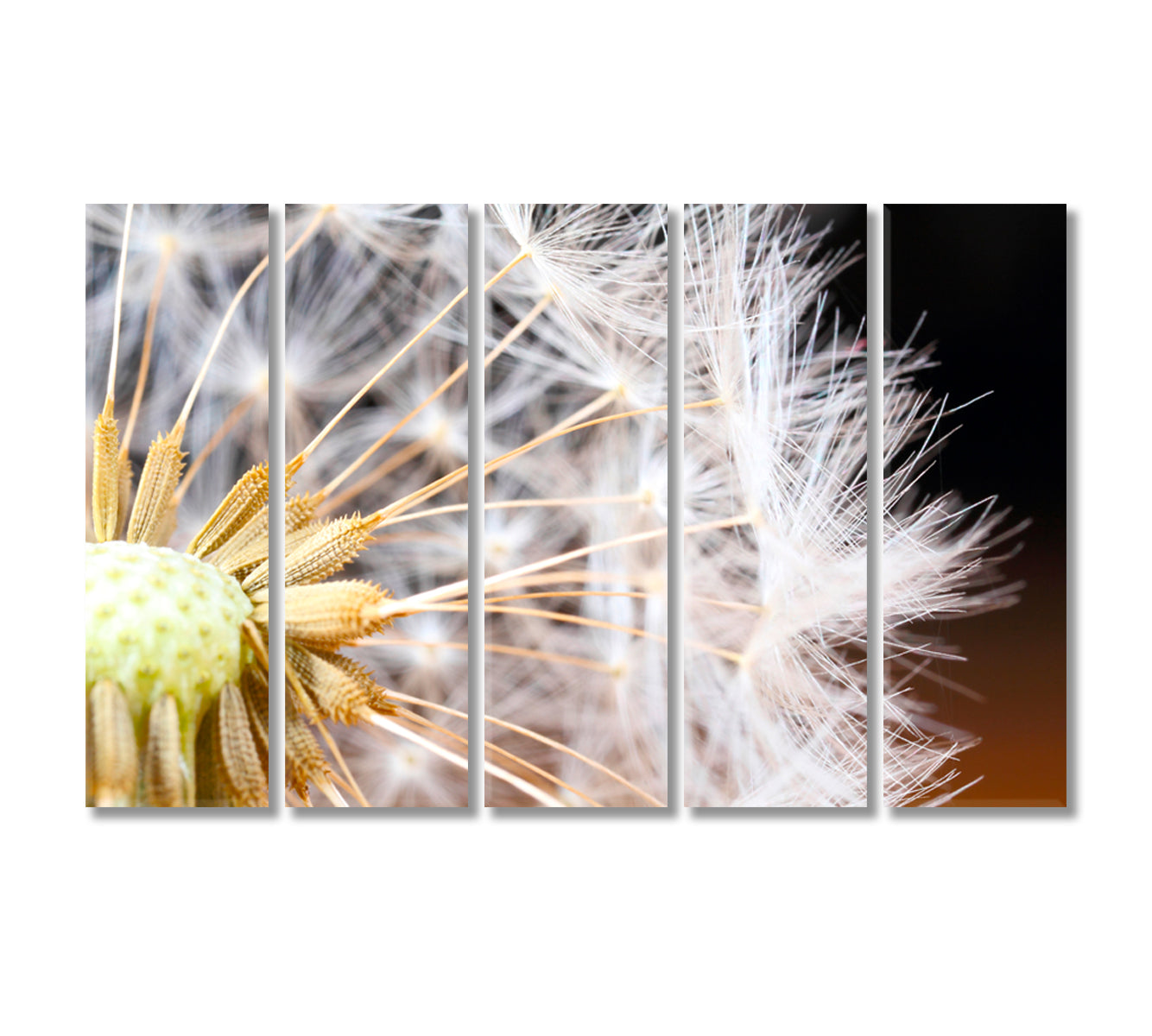 Dandelion Seeds Print Decor Wall Art-Canvas Print-CetArt-5 Panels-36x24 inches-CetArt