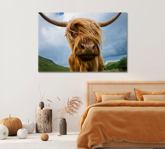 Beautiful Highland Cow Canvas Home Decor-Canvas Print-CetArt-1 Panel-24x16 inches-CetArt