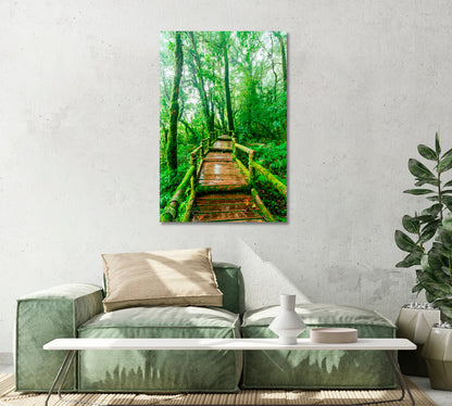 Beautiful Rain Forest Trail Canvas Print-Canvas Print-CetArt-1 panel-16x24 inches-CetArt