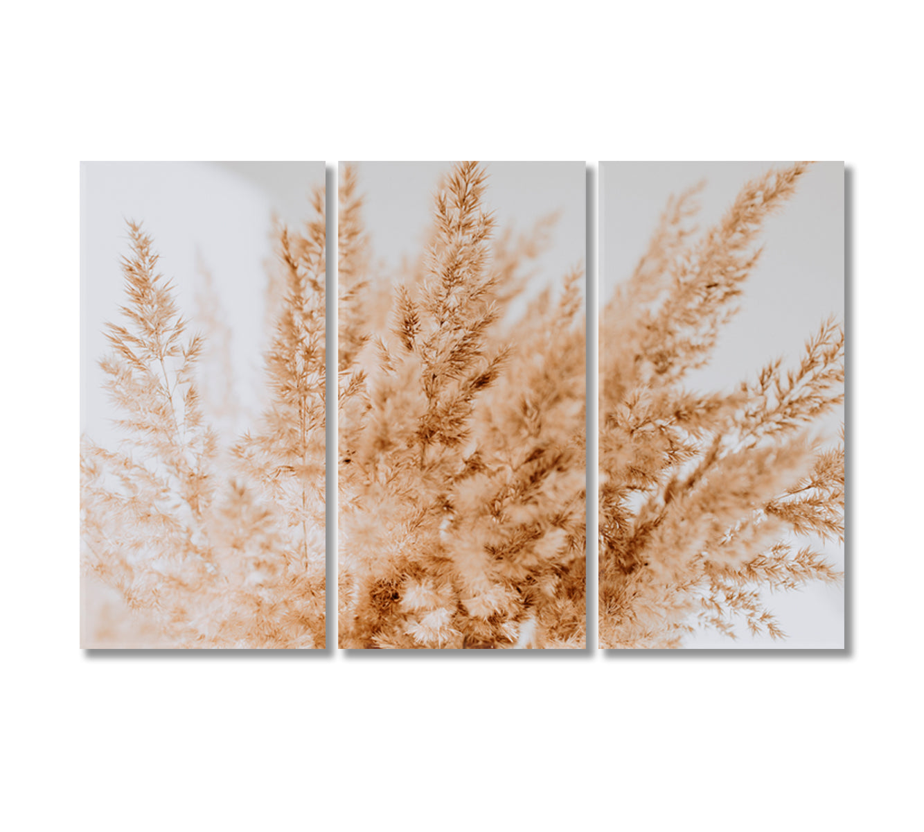 Neutral Beige Reeds Farmhouse Wall Art-Canvas Print-CetArt-3 Panels-36x24 inches-CetArt