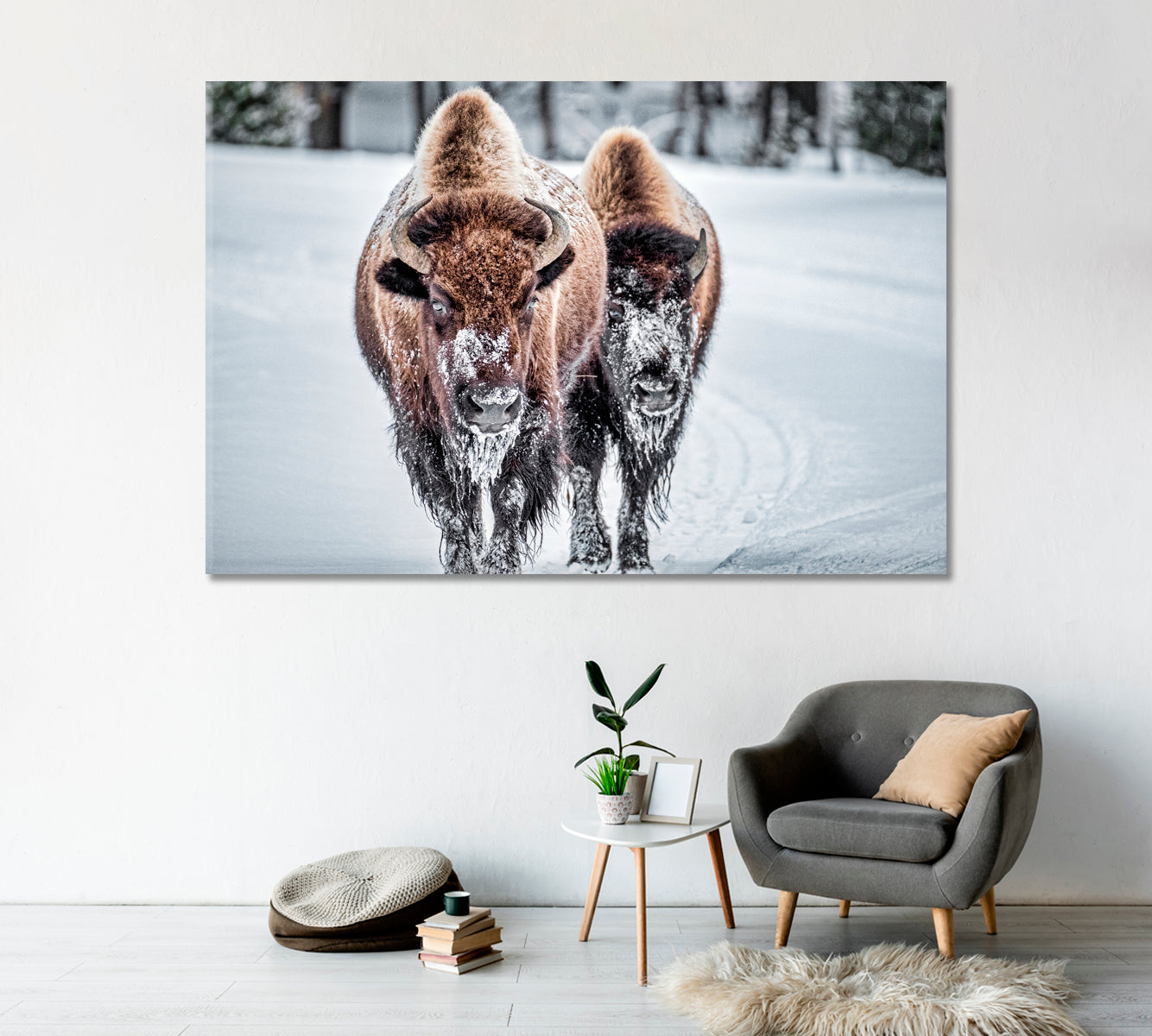 Bison in Winter Print Canvas Art-Canvas Print-CetArt-1 Panel-24x16 inches-CetArt