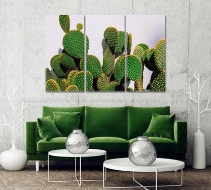 Bunny Ear Cactus Wall Decor Canvas-Canvas Print-CetArt-1 Panel-24x16 inches-CetArt