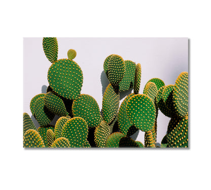 Bunny Ear Cactus Wall Decor Canvas-Canvas Print-CetArt-1 Panel-24x16 inches-CetArt