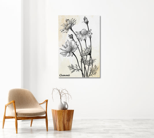 Chamomile Flowers Vintage Wall Art Decor-Canvas Print-CetArt-1 panel-16x24 inches-CetArt