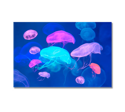 Colorful Jellyfish Canvas Wall Decor-Canvas Print-CetArt-1 Panel-24x16 inches-CetArt