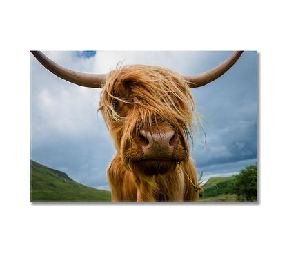 Beautiful Highland Cow Canvas Home Decor-Canvas Print-CetArt-1 Panel-24x16 inches-CetArt