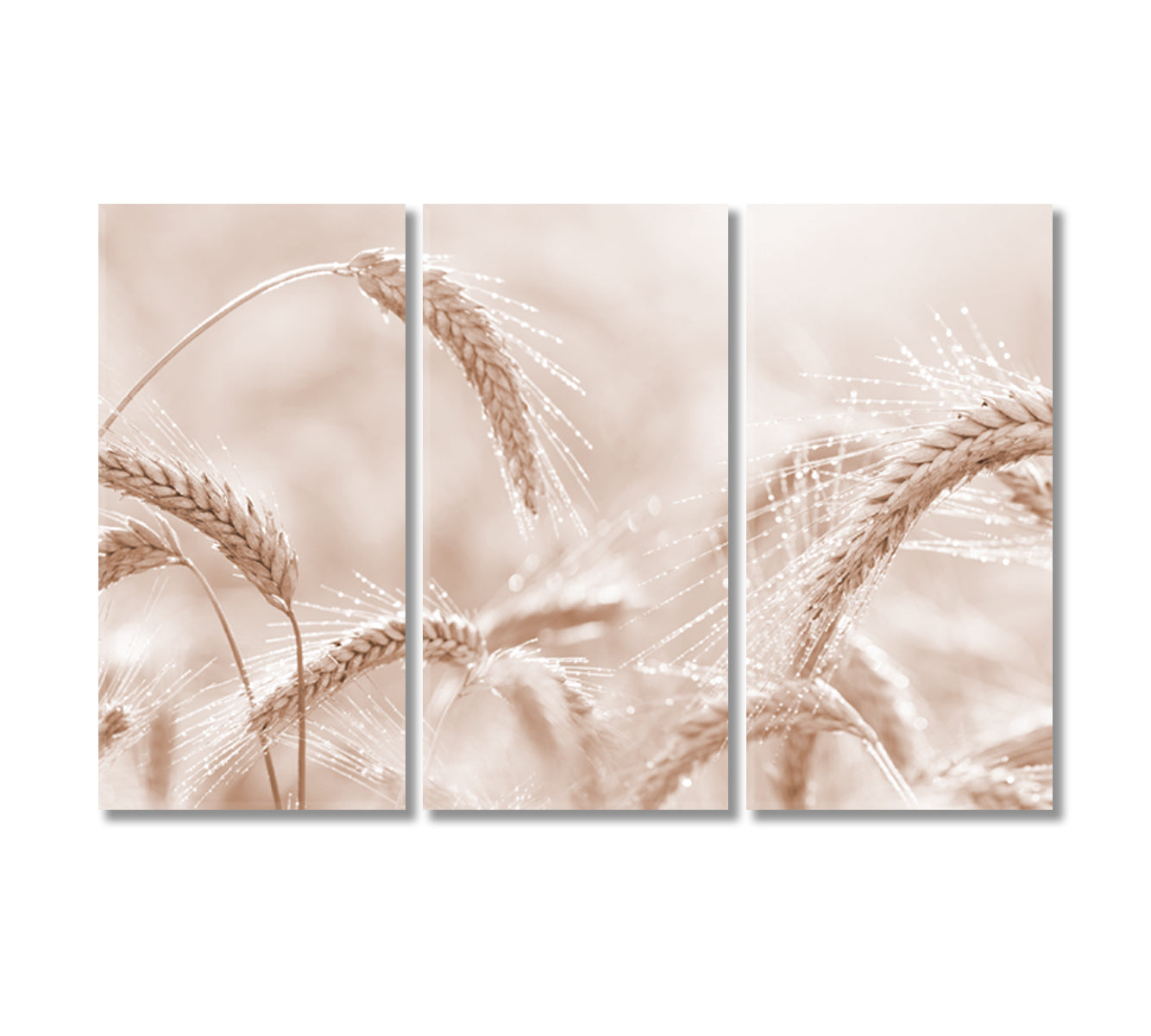 Ears of Rye Canvas Wall Art Decor-Canvas Print-CetArt-3 Panels-36x24 inches-CetArt