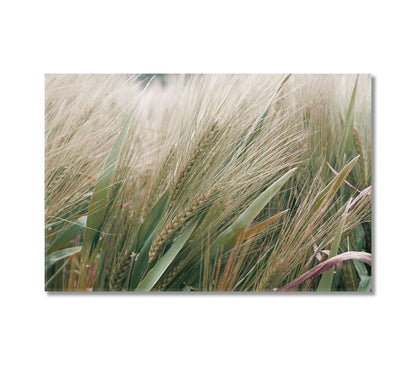 Barley Canvas Home Wall Art Decor-Canvas Print-CetArt-1 Panel-24x16 inches-CetArt