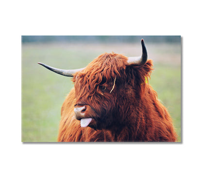 Cute Highland Cow Home Art Decor-Canvas Print-CetArt-1 Panel-24x16 inches-CetArt