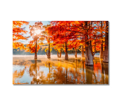 Cypress Trees in Lake Wall Art-Canvas Print-CetArt-1 Panel-24x16 inches-CetArt