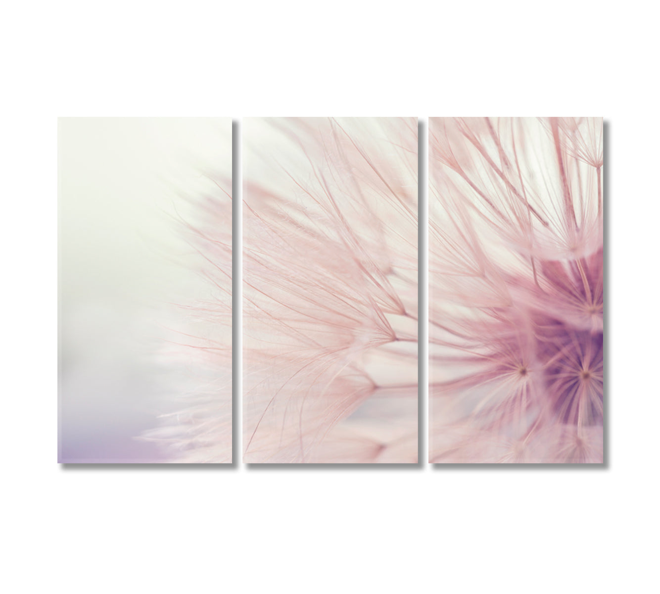 Tender Dandelion Print Canvas Art-Canvas Print-CetArt-3 Panels-36x24 inches-CetArt