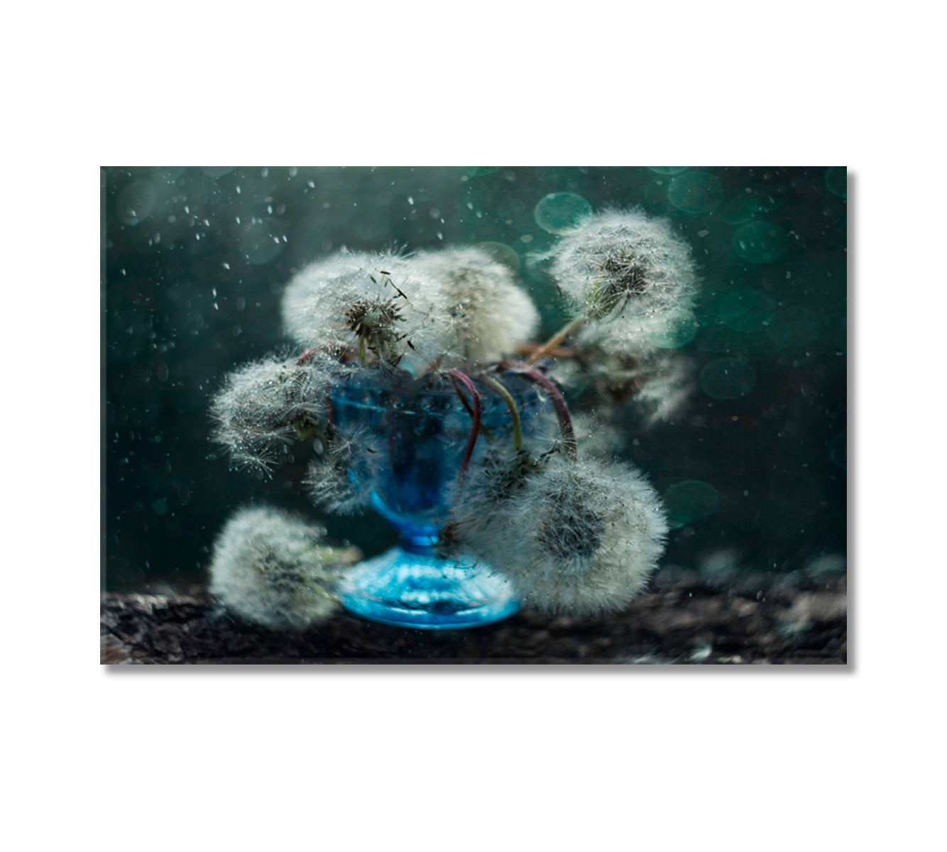 Dandelions Still Life Home Art Decor-Canvas Print-CetArt-1 Panel-24x16 inches-CetArt