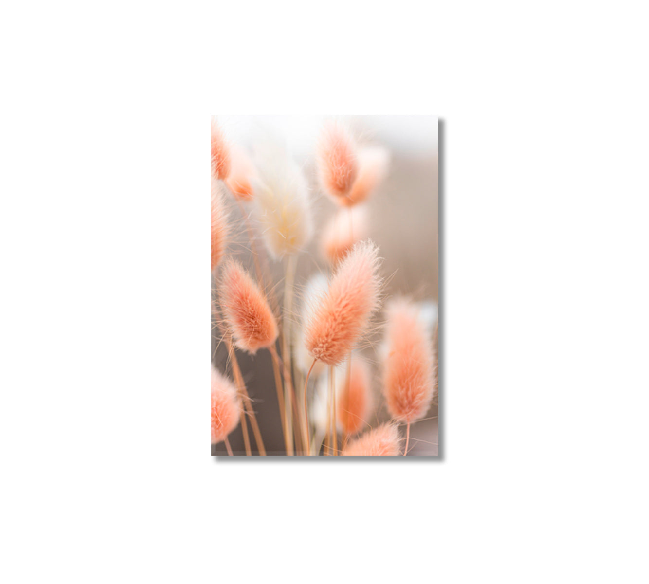 Tender Bunny Tails Grass Canvas Print-Canvas Print-CetArt-1 panel-16x24 inches-CetArt