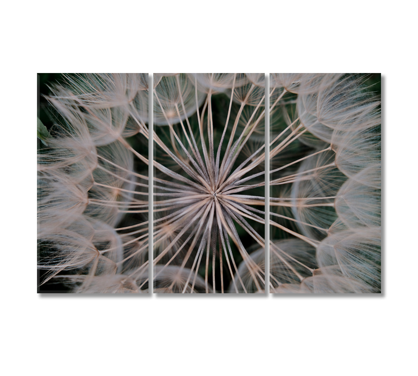 Delicate Dandelion Wall Decor Canvas-Canvas Print-CetArt-3 Panels-36x24 inches-CetArt