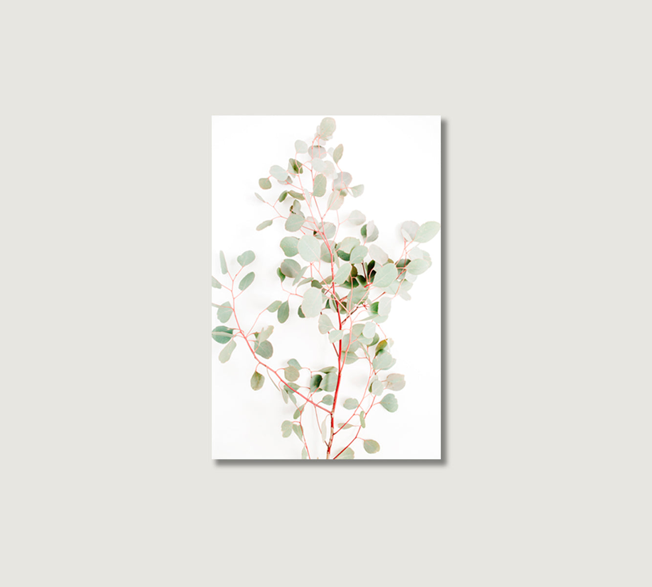 Eucalyptus Branches Wall Canvas Art Print-Canvas Print-CetArt-1 panel-16x24 inches-CetArt