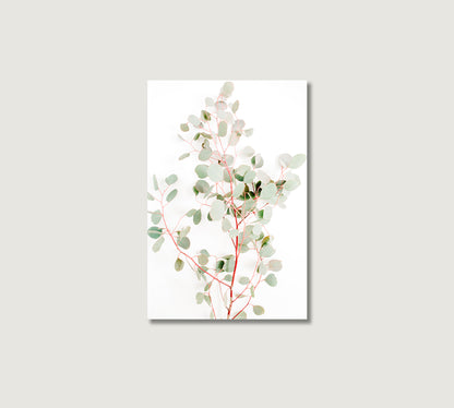 Eucalyptus Branches Wall Canvas Art Print-Canvas Print-CetArt-1 panel-16x24 inches-CetArt