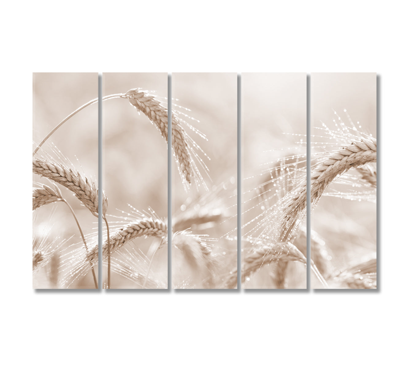 Ears of Rye Canvas Wall Art Decor-Canvas Print-CetArt-5 Panels-36x24 inches-CetArt