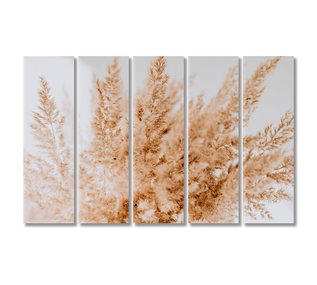 Neutral Beige Reeds Farmhouse Wall Art-Canvas Print-CetArt-5 Panels-36x24 inches-CetArt