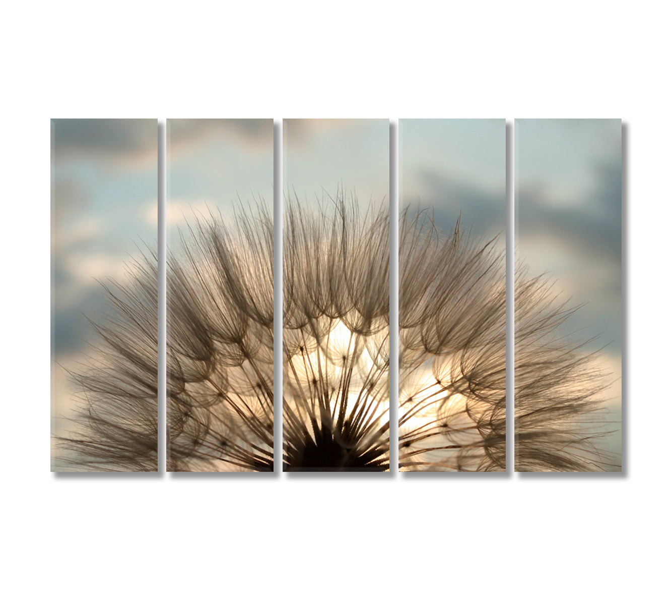 Fluffy Dandelion Flower Interior Canvas-Canvas Print-CetArt-5 Panels-36x24 inches-CetArt