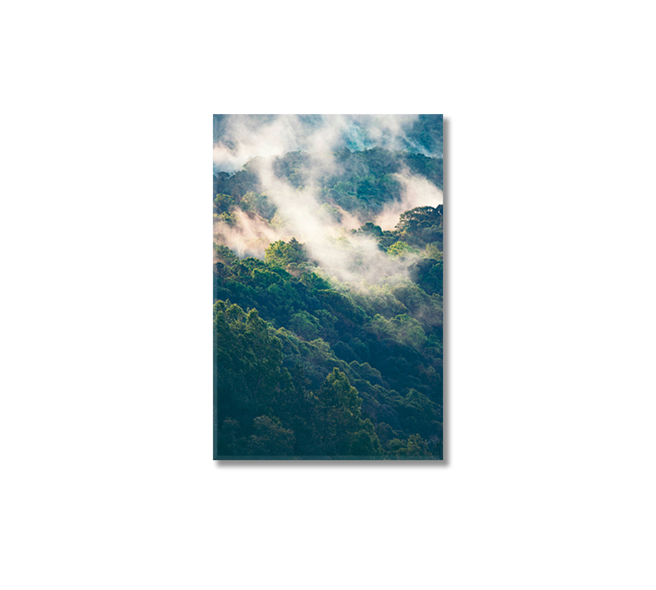 Foggy Forest Wall Art Interior Decor-Canvas Print-CetArt-1 panel-16x24 inches-CetArt