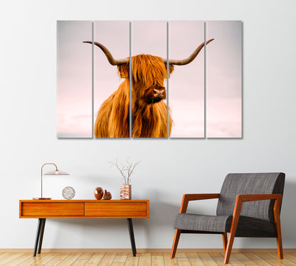 Highland Cow in Sunset Giclee Print-Canvas Print-CetArt-1 Panel-24x16 inches-CetArt