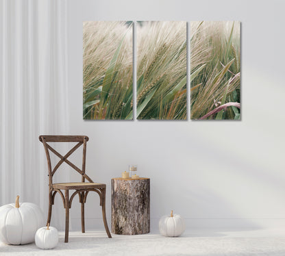 Barley Canvas Home Wall Art Decor-Canvas Print-CetArt-1 Panel-24x16 inches-CetArt