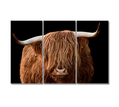 Highland Cattle Canvas Wall Art Decor-Canvas Print-CetArt-3 Panels-36x24 inches-CetArt