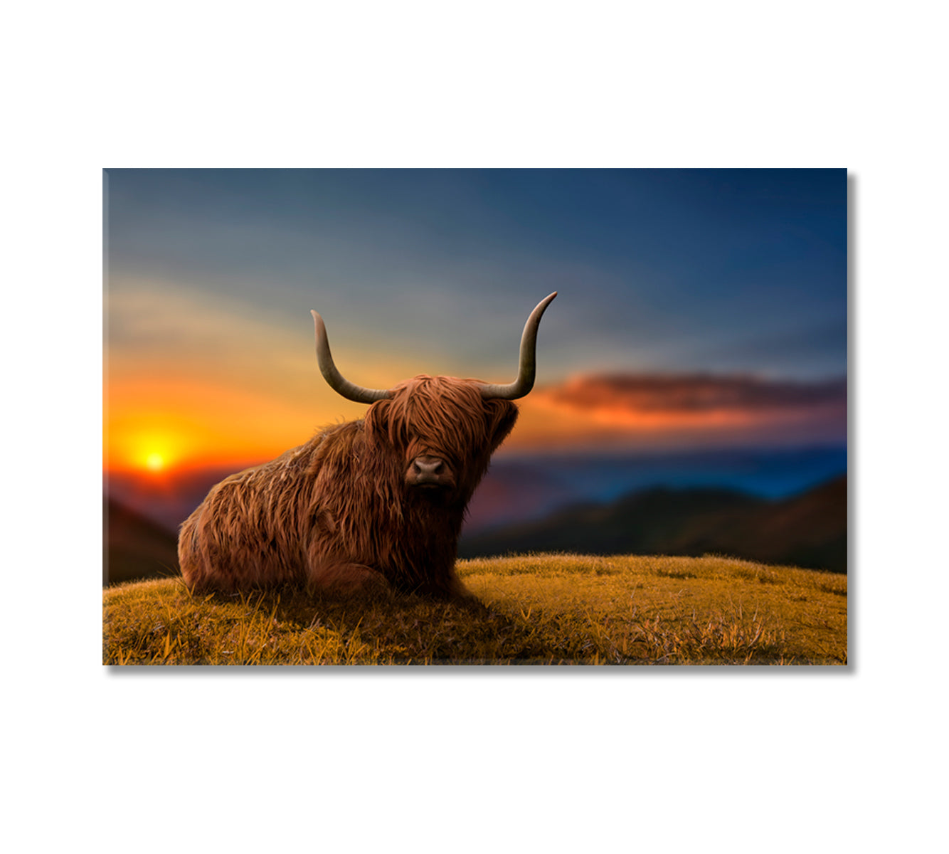 Beautiful Highland Cattle Home Art Decor-Canvas Print-CetArt-1 Panel-24x16 inches-CetArt