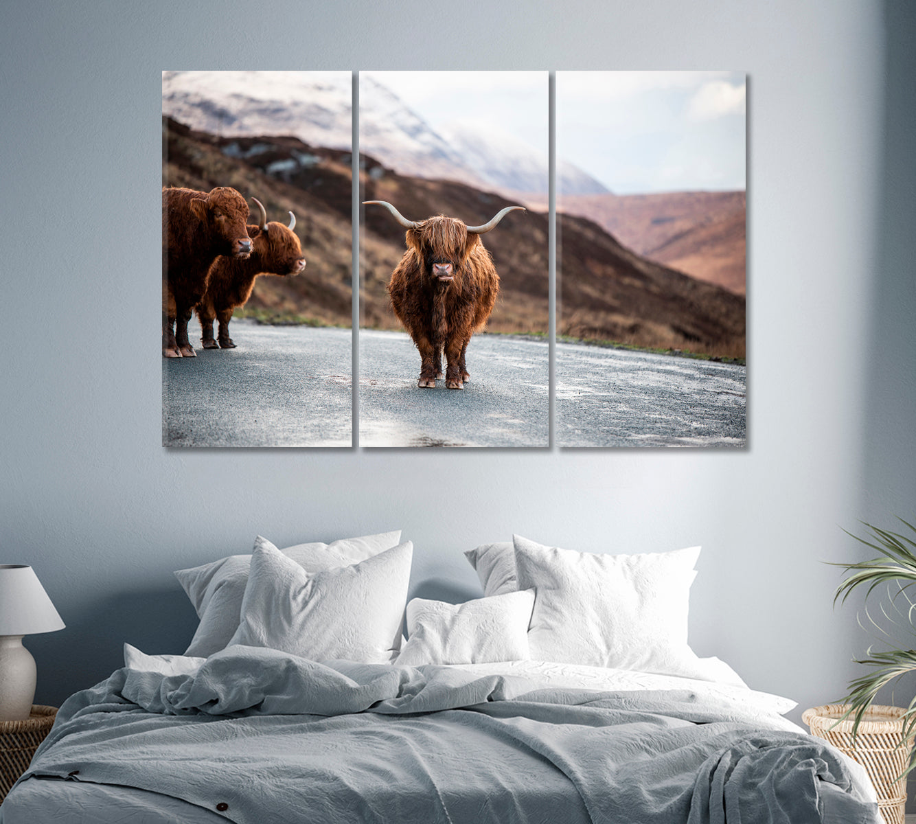 Scottish Highland Cows Home Art Decor-Canvas Print-CetArt-1 Panel-24x16 inches-CetArt