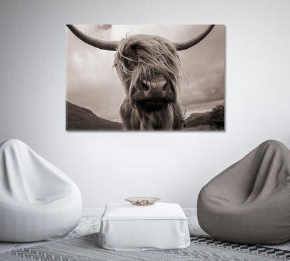 Highland Cow Black White Wall Art-Canvas Print-CetArt-1 Panel-24x16 inches-CetArt