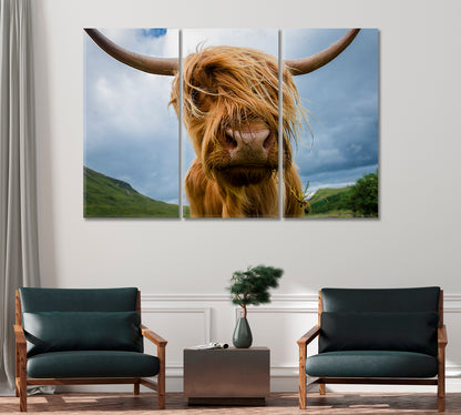 Beautiful Highland Cow Canvas Home Decor-Canvas Print-CetArt-1 Panel-24x16 inches-CetArt