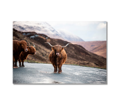 Scottish Highland Cows Home Art Decor-Canvas Print-CetArt-1 Panel-24x16 inches-CetArt