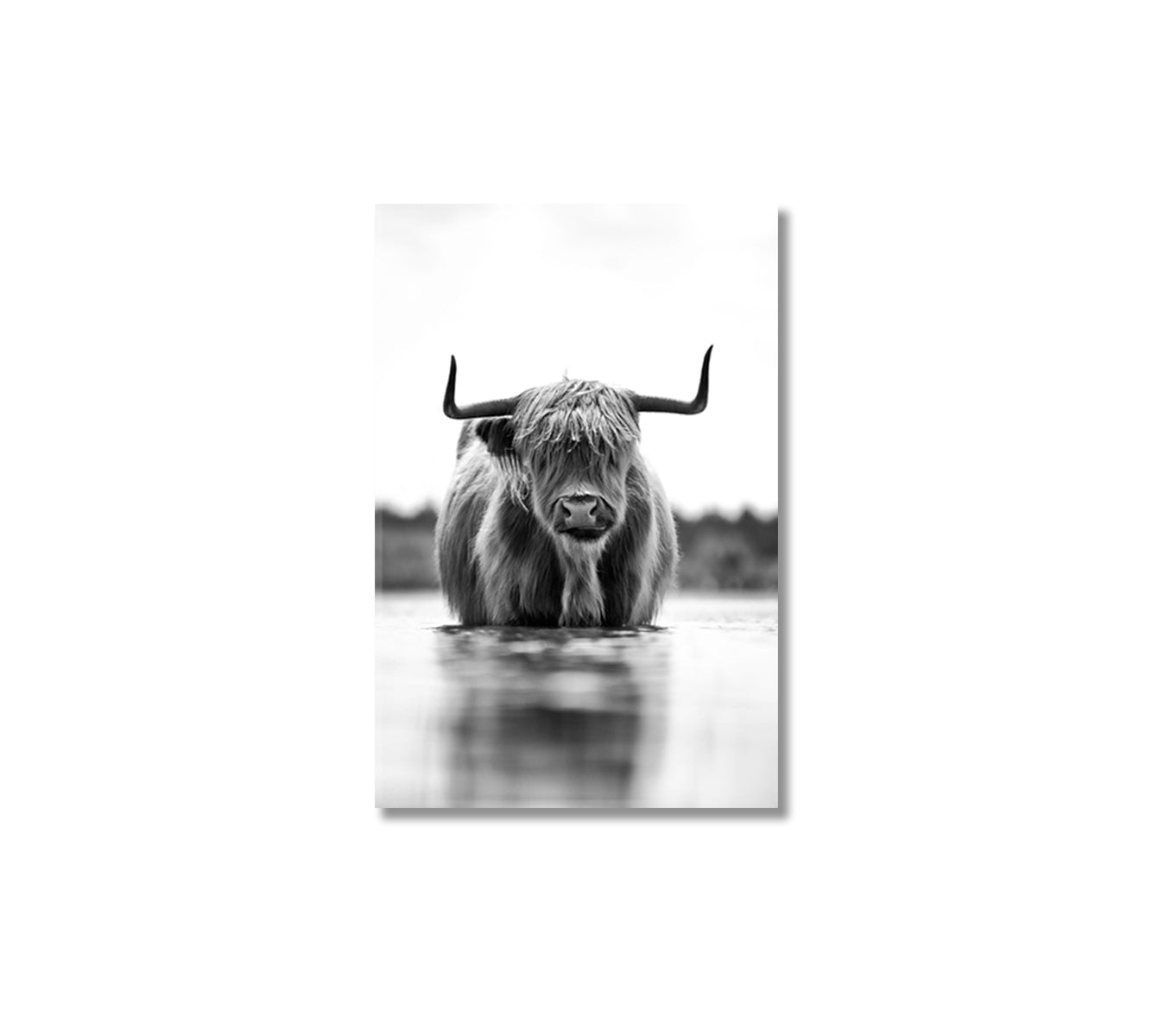 Highland Cow Canvas Art for Wall Decoration-Canvas Print-CetArt-1 panel-16x24 inches-CetArt