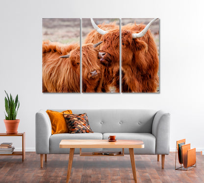 Highland Cow Family Art For Home-Canvas Print-CetArt-1 Panel-24x16 inches-CetArt