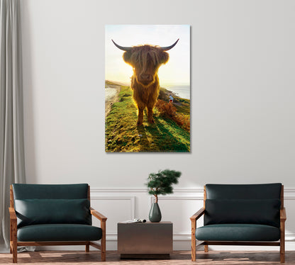 Highland Cow at Sunset Home Wall Art-Canvas Print-CetArt-1 panel-16x24 inches-CetArt