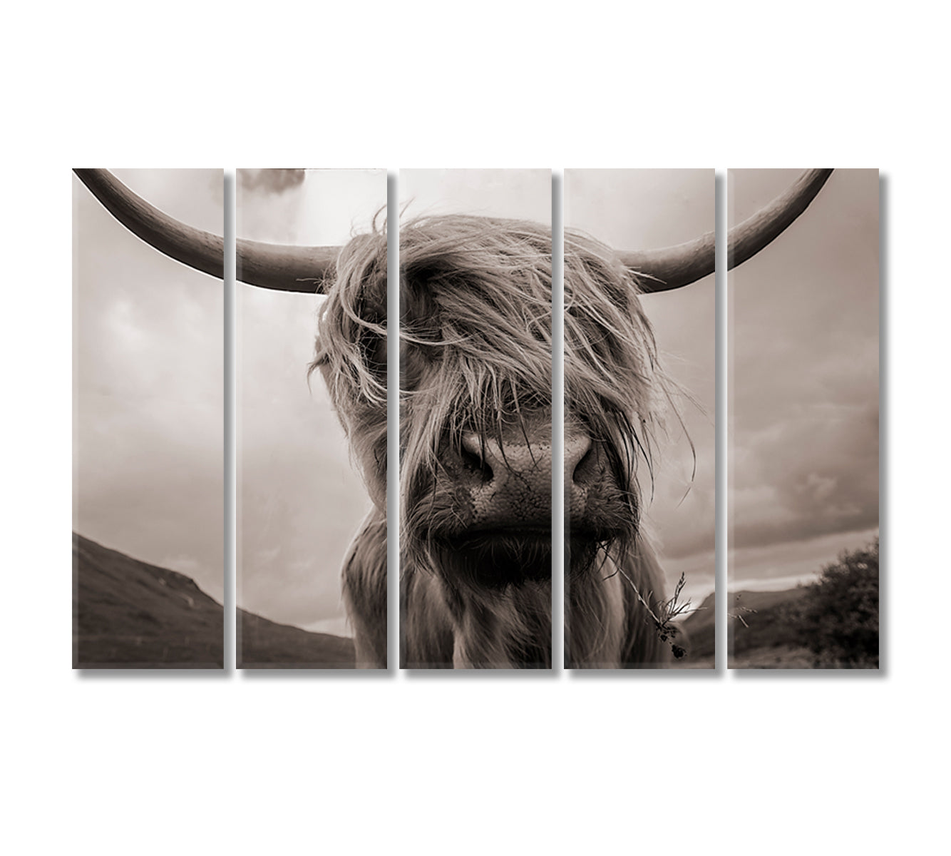 Highland Cow Black White Wall Art-Canvas Print-CetArt-5 Panels-36x24 inches-CetArt