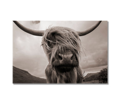 Highland Cow Black White Wall Art-Canvas Print-CetArt-1 Panel-24x16 inches-CetArt