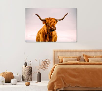 Highland Cow in Sunset Giclee Print-Canvas Print-CetArt-1 Panel-24x16 inches-CetArt