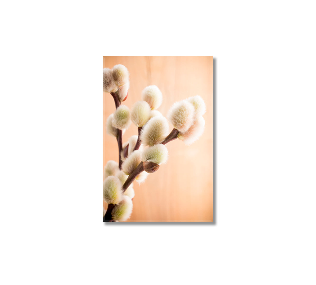 Willow Branches Canvas Print Decor-Canvas Print-CetArt-1 panel-16x24 inches-CetArt