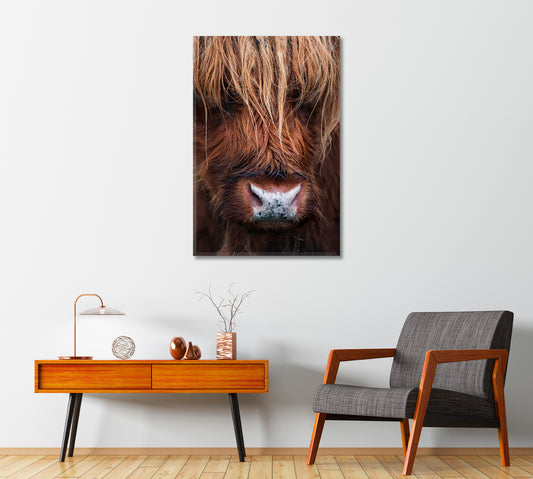 Scottish Highland Cow Canvas Wall Art-Canvas Print-CetArt-1 panel-16x24 inches-CetArt