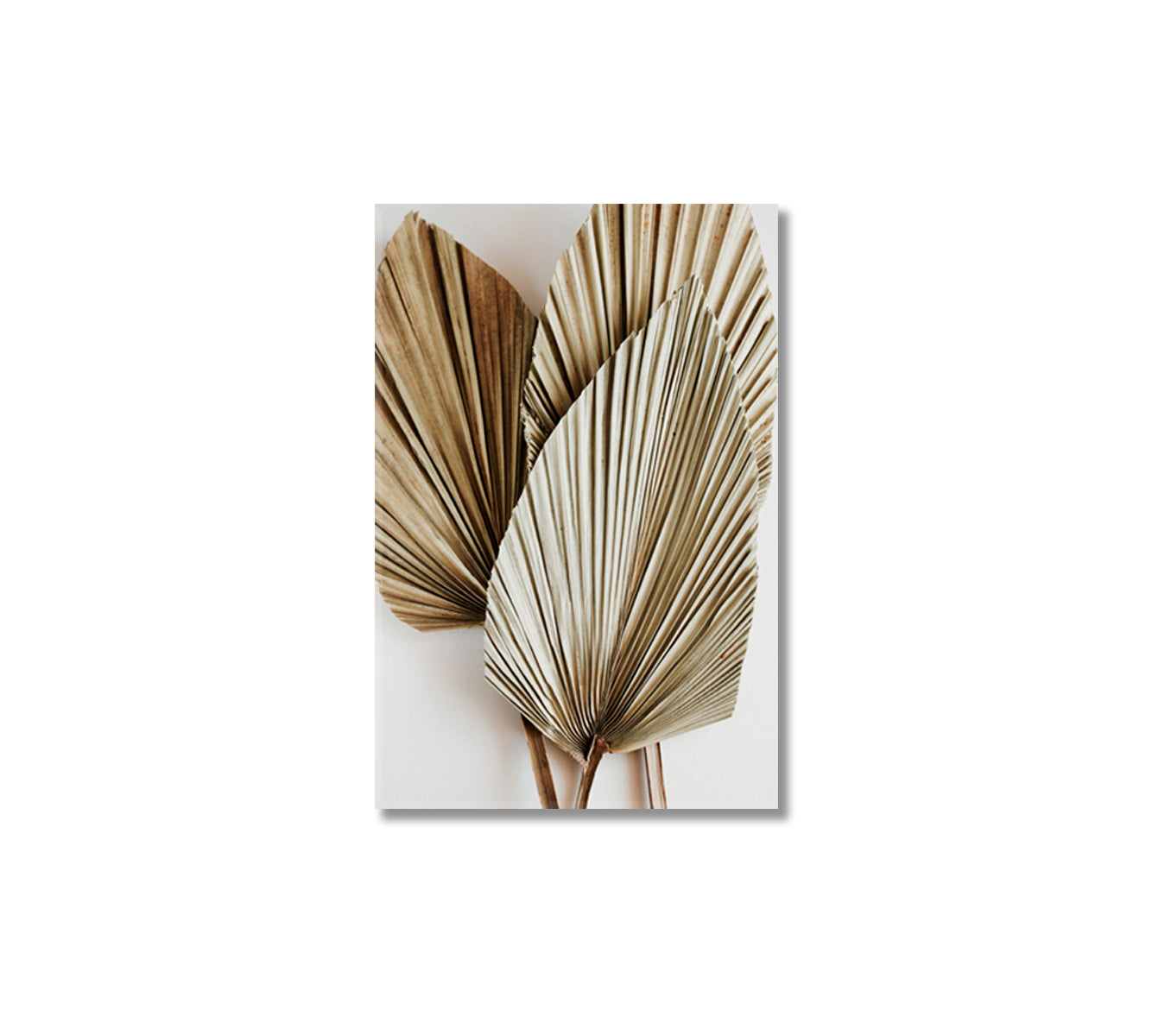 Palm Leaves Canvas Wall Decor-Canvas Print-CetArt-1 panel-16x24 inches-CetArt