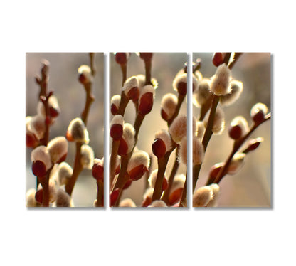 Willow Branches Wall Canvas Art Print-Canvas Print-CetArt-3 Panels-36x24 inches-CetArt