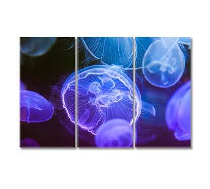 Blue Jellyfish Canvas Wall Decor-Canvas Print-CetArt-3 Panels-36x24 inches-CetArt