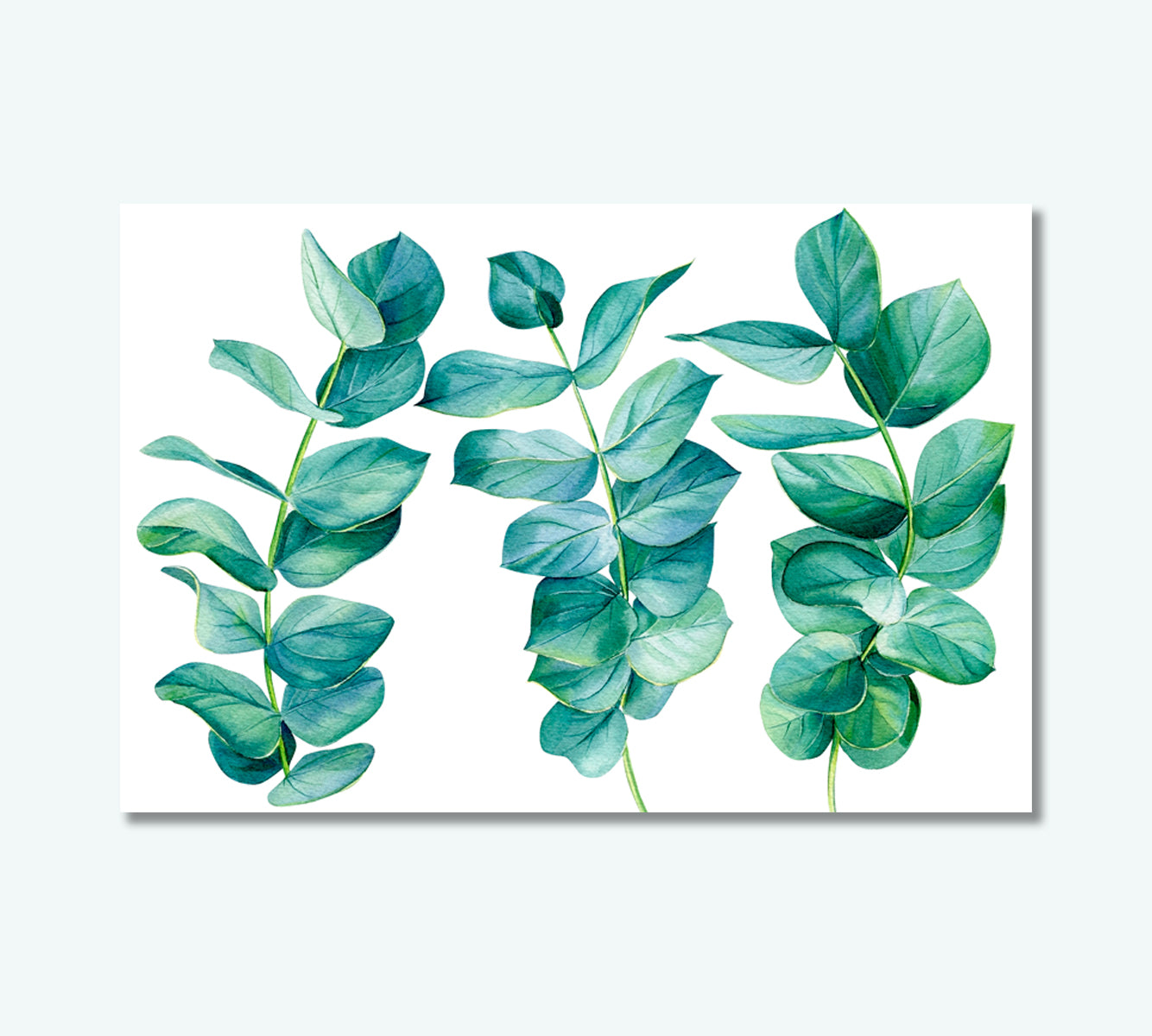 Eucalyptus Branches Art for Wall Decor-Canvas Print-CetArt-1 Panel-24x16 inches-CetArt