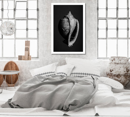 Standing Seashell Modernism Art Canvas-Canvas Print-CetArt-1 panel-16x24 inches-CetArt