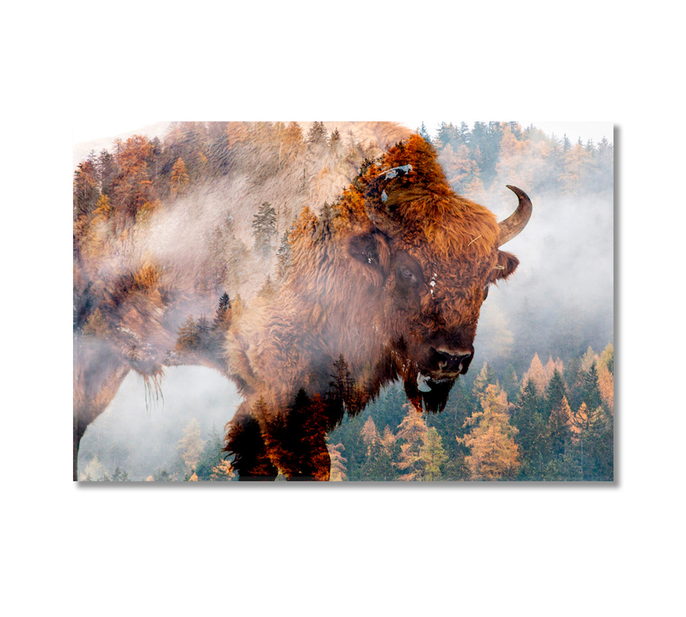 Bison in Forest Art For Home-Canvas Print-CetArt-1 Panel-24x16 inches-CetArt