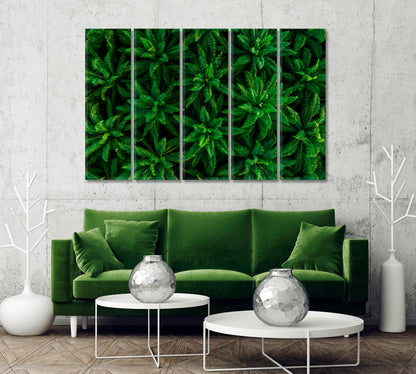 Palm Plantation Canvas Art Home Decor-Canvas Print-CetArt-1 Panel-24x16 inches-CetArt