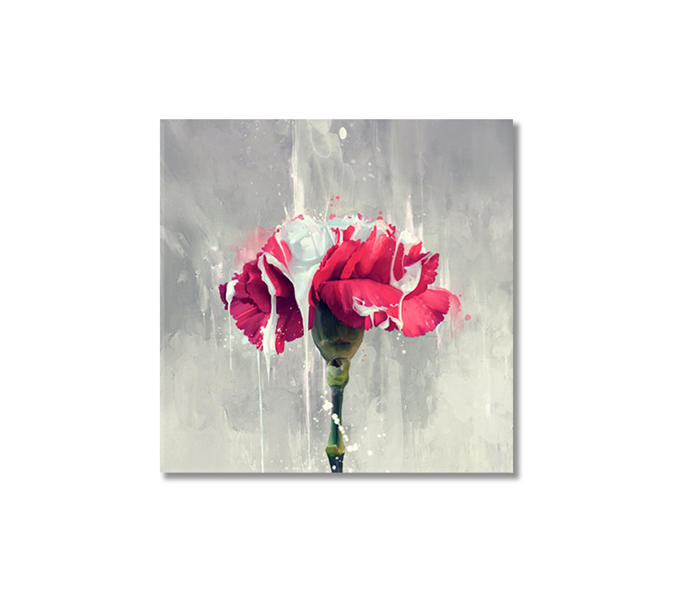 Red Carnation Flower Canvas Wall Art-Canvas Print-CetArt-1 panel-12x12 inches-CetArt