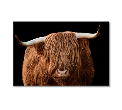 Highland Cattle Canvas Wall Art Decor-Canvas Print-CetArt-1 Panel-24x16 inches-CetArt